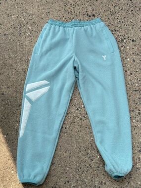 Nike Kobe Bryant Therma-FIT Winterized Fleece Joggers Men's M Mint IM4866-017